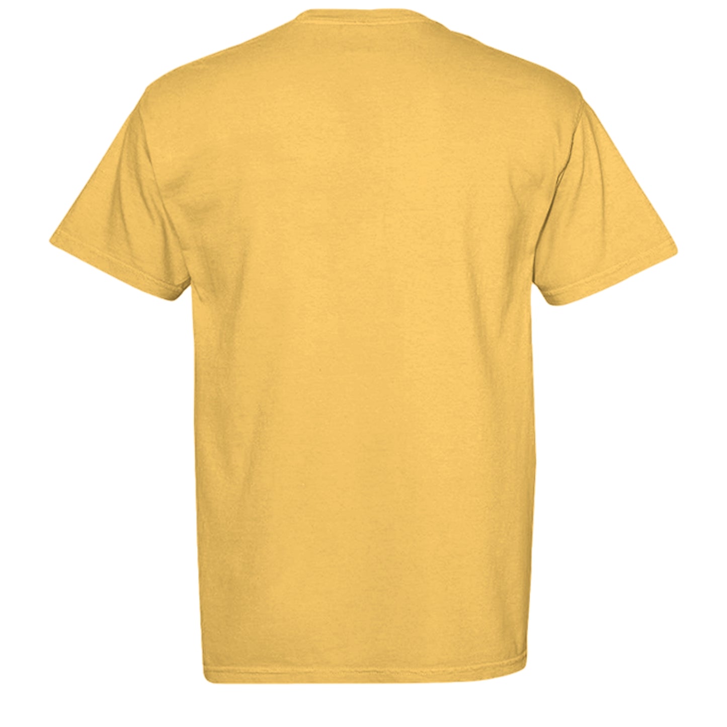 CITRUS - C1717 - BACK
