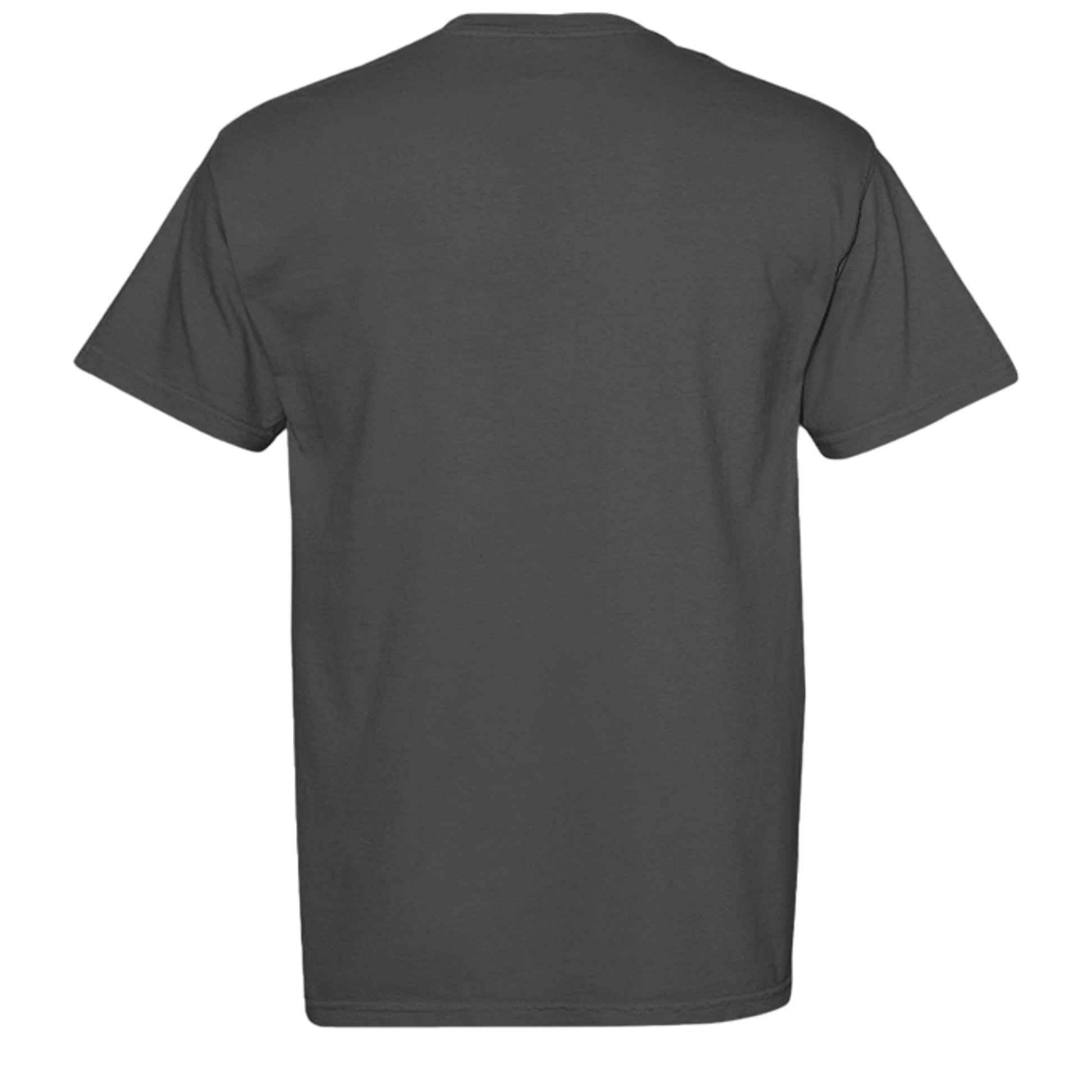 GRAPHITE - C1717 - BACK