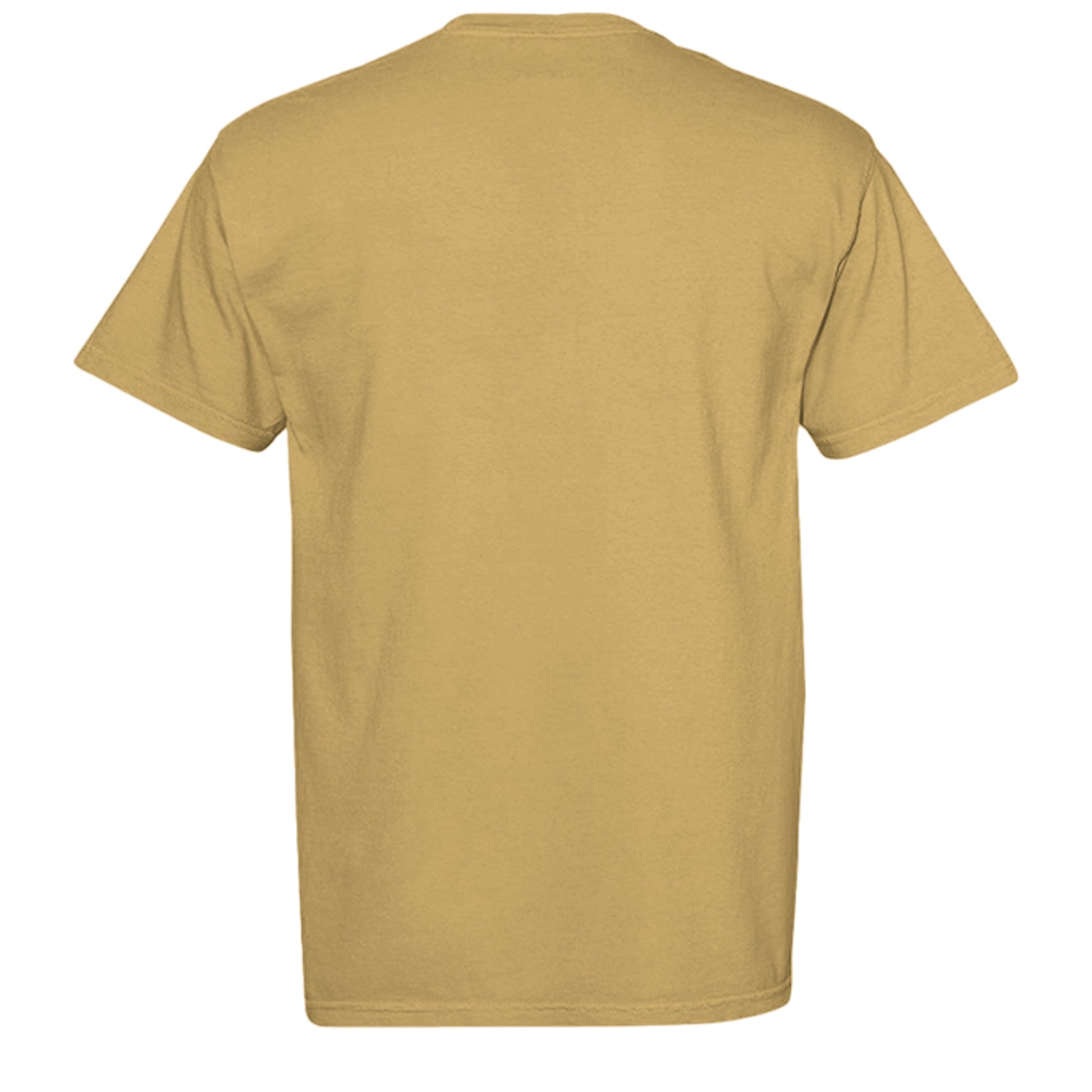 MUSTARD - C1717 - BACK